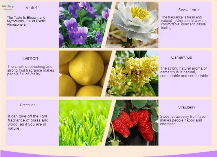 12PCS 3ML Air Freshener Natural Plant Aromatherapy Essential Oil Air Conditioning Perfume Aroma Diffuser Fragrance Humidifier - FUXL-Shopify