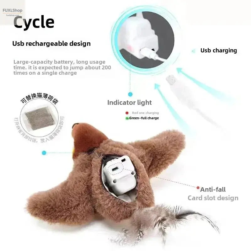 FUXL Elektrisches Katzen-Spielzeug mit Katzenminze - FUXL-Shopify