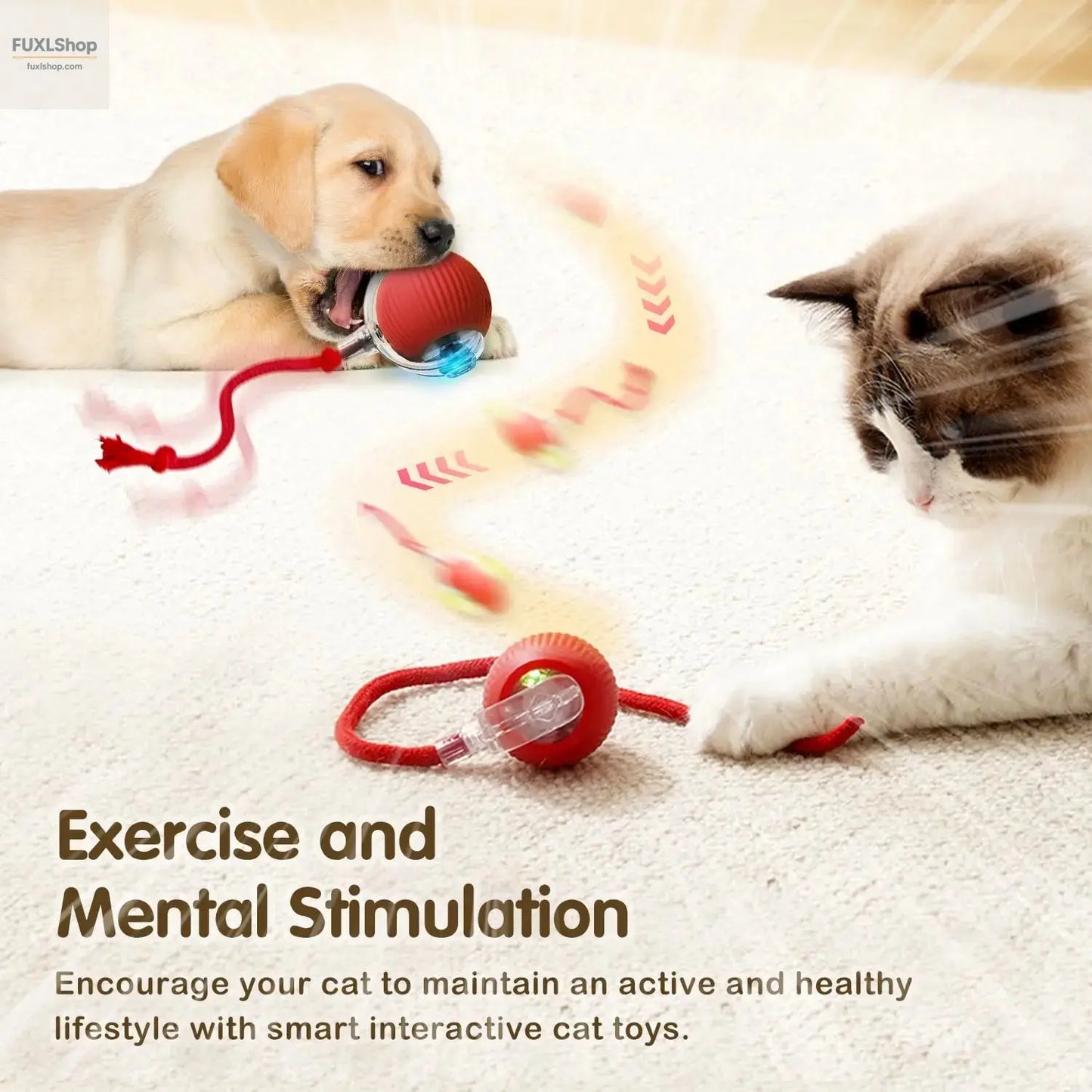 Interaktives Ballspielzeug für Katzen, automatisch rollender Ball mit Schwanz, wiederaufladbares, intelligente Maus für Katzen - FUXL-Shopify