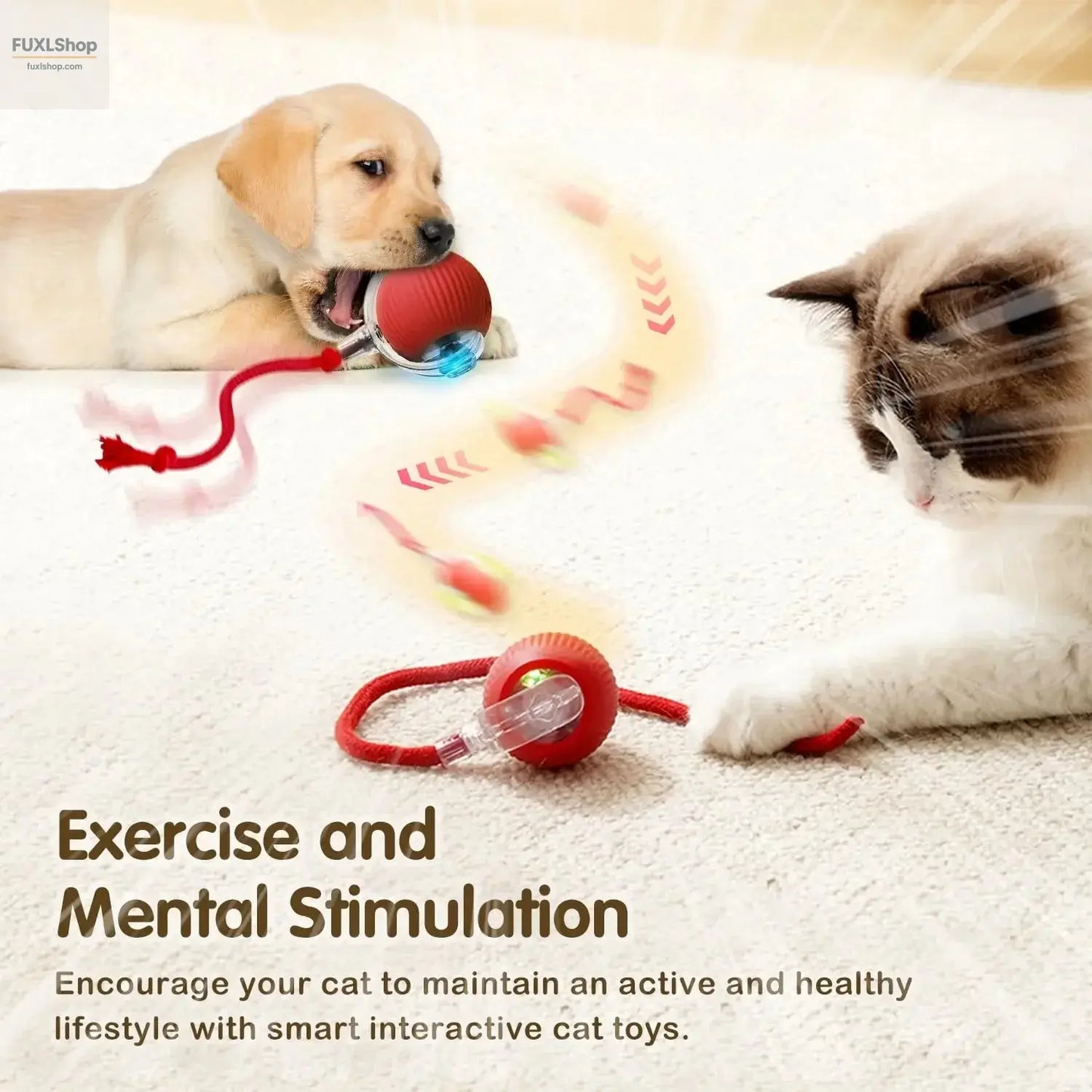 Interaktives Ballspielzeug für Katzen, automatisch rollender Ball mit Schwanz, wiederaufladbares, intelligente Maus für Katzen - FUXL-Shopify