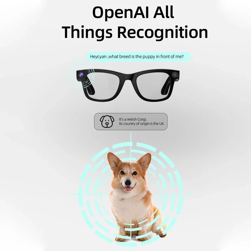 Xiaomi G300 Smart AI Brille 800W Pixel AI Schießen Kamera HD Foto Video Sprachanruf Übersetzung Wasserdichte Bluetooth AI Brille - FUXL - Shopify