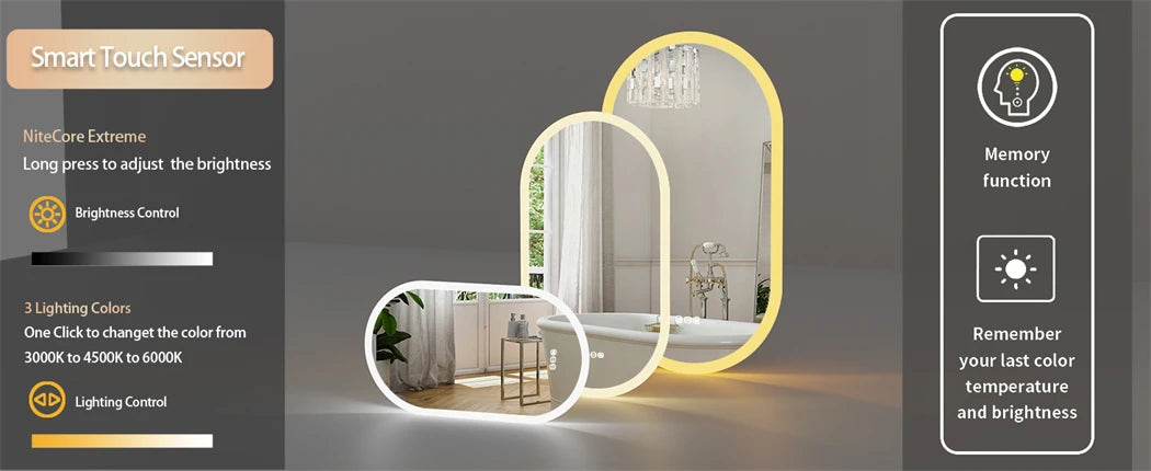 Ovaler LED-Badezimmerspiegel, 500 x 1000 mm, Wand-Kosmetikspiegel mit Antibeschlag, 3 Farben, dimmbare Beleuchtung, Smart Switch-Speicherfunktion