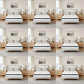 364f8c8f512f4febbc7b3355a7997f6b-goods - FUXLShop
