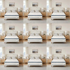 364f8c8f512f4febbc7b3355a7997f6b-goods - FUXLShop