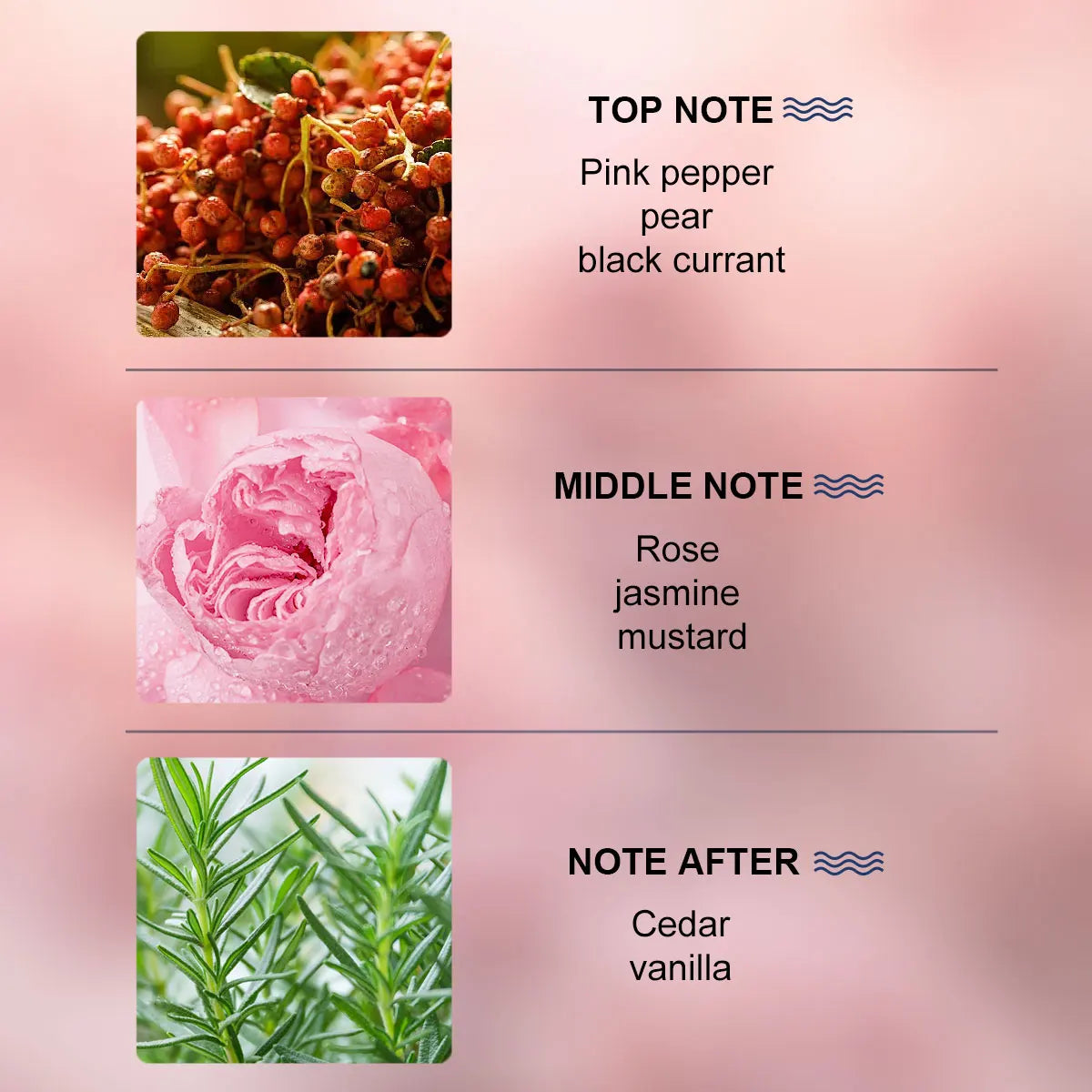 LASTAR Damenparfum – Langanhaltender Rosenduft, 55 ml Eau de Parfum mit romantischer Note, ideal für Dates & besondere Anlässe, stilvoll & feminin