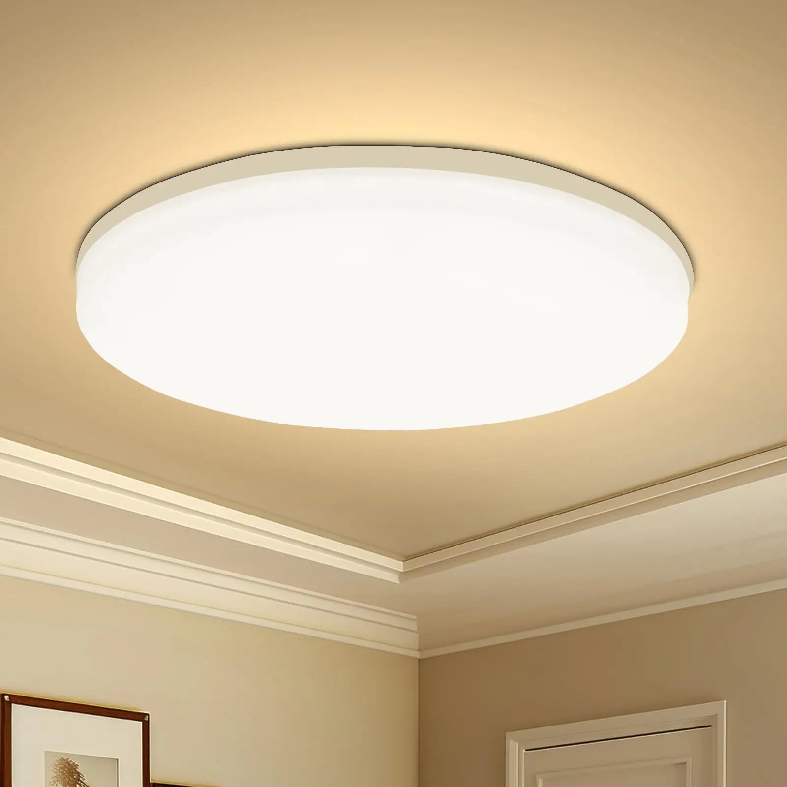 Round LED Ceiling Light Modern Home Decorative Ceiling Lighting Fixture 18/24/36/48W Living Room Bedroom Indoor Kitchen Lighting - FUXL-Shopify 