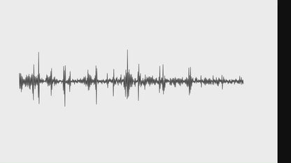 FoCase REC Smart Voice Recorder – KI-Transkription, GPT-4o, 64GB